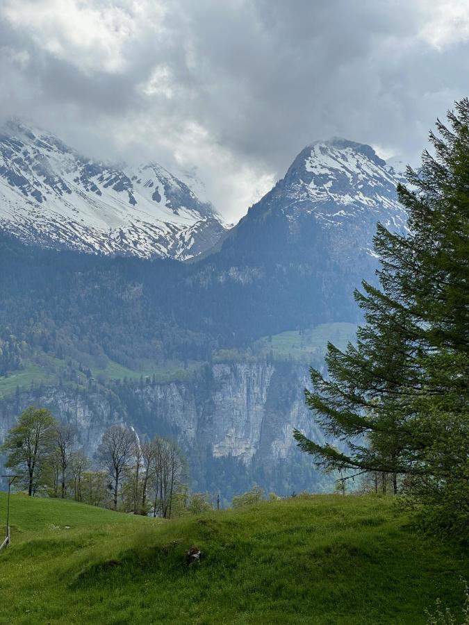 Chalet Bruenig Meiringen Exterior foto